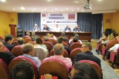 Comisión Permanente de FEMARA 2014