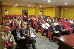 Comisión Permanente de FEMARA 2014