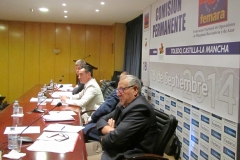 Comisión Permanente de FEMARA 2014