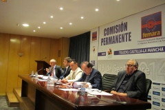 Comisión Permanente de FEMARA 2014