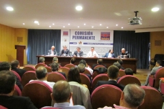 Comisión Permanente de FEMARA 2014