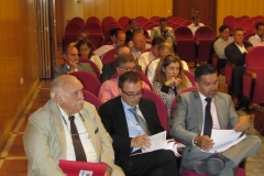 Comisión Permanente de FEMARA 2014