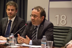 Comisión Permanente de FEMARA 2014