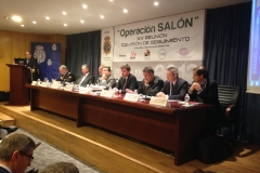 Operación Salón 2013