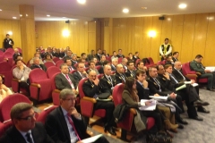 Operación Salón 2013
