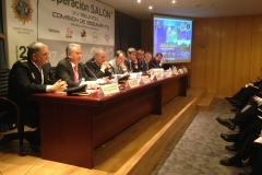 Operación Salón 2013