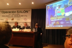 Operación Salón 2013