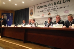 Operación Salón 2013