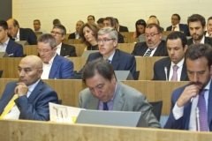 Asamblea de ANESAR - 16-6-2015 - 11