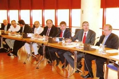 Reunión Comisión Seguimiento OP-SALÓN -29-7-2008 (Mesa)